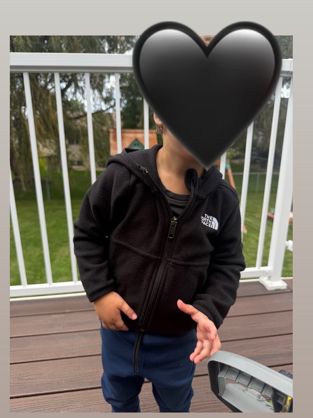 The North Face Kids Black glacier Hooded Fleece Zip-Up